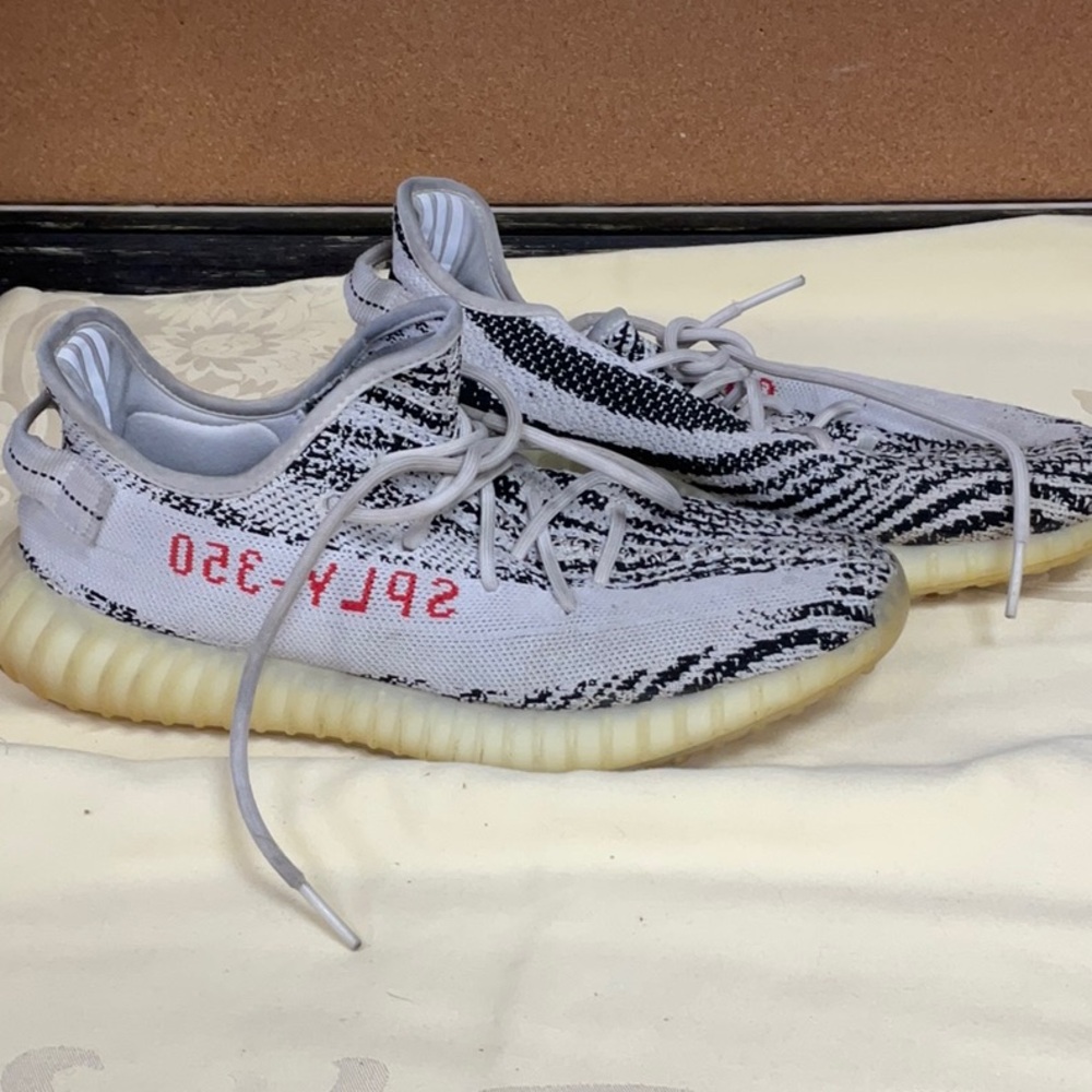 Men's Zebra Knit Sneakers with Cream Sole